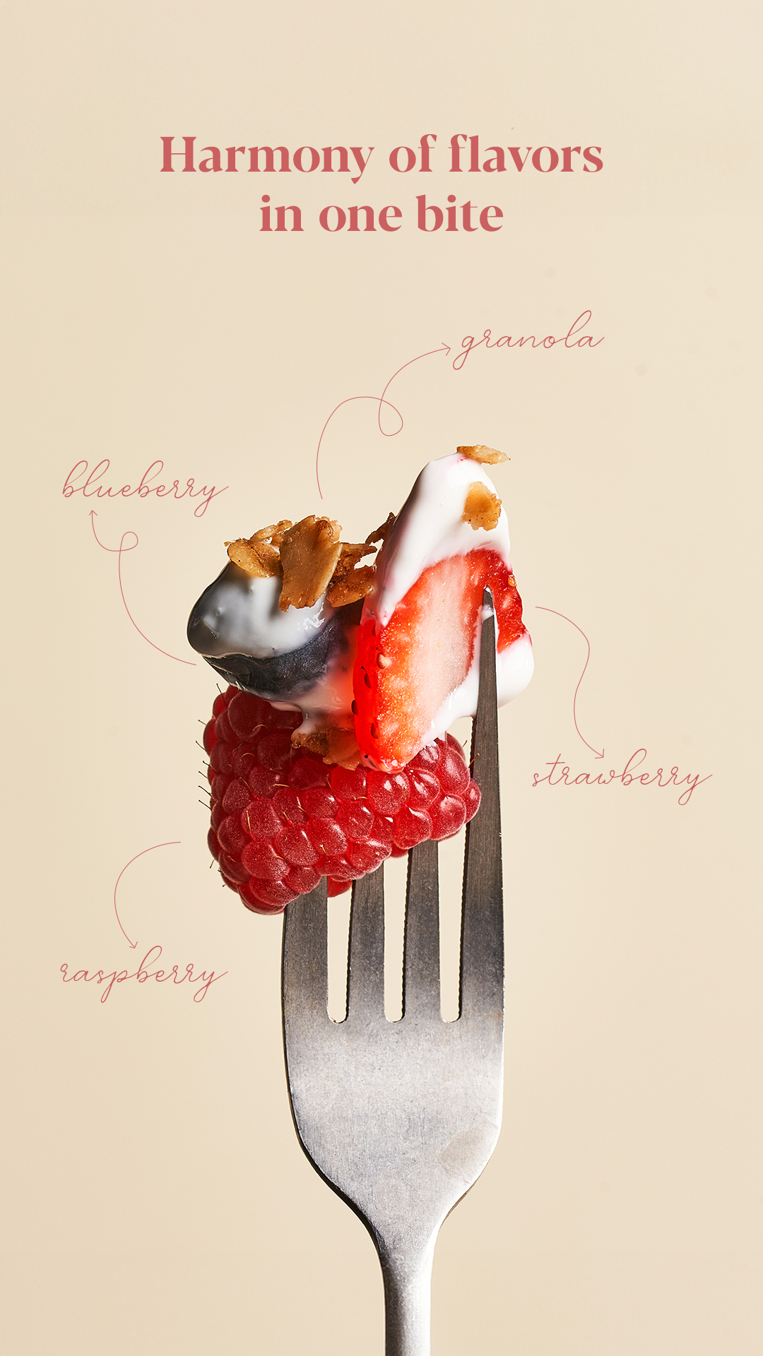 Doe Sandwiches — project image 7